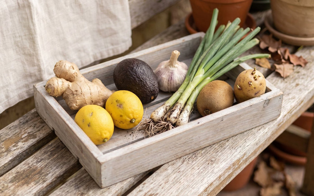 A week of ordinary shopping laid out on a garden bench
